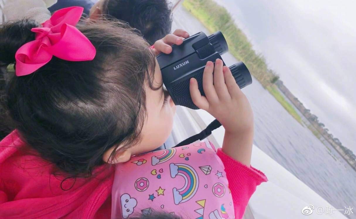 CÉLLOT 40 Pieces 4.5 Inch Hair Bows for Girls Clips Grosgrain Ribbon Boutique Hair Bow Alligator Clips For Girls Teens Toddlers Kids