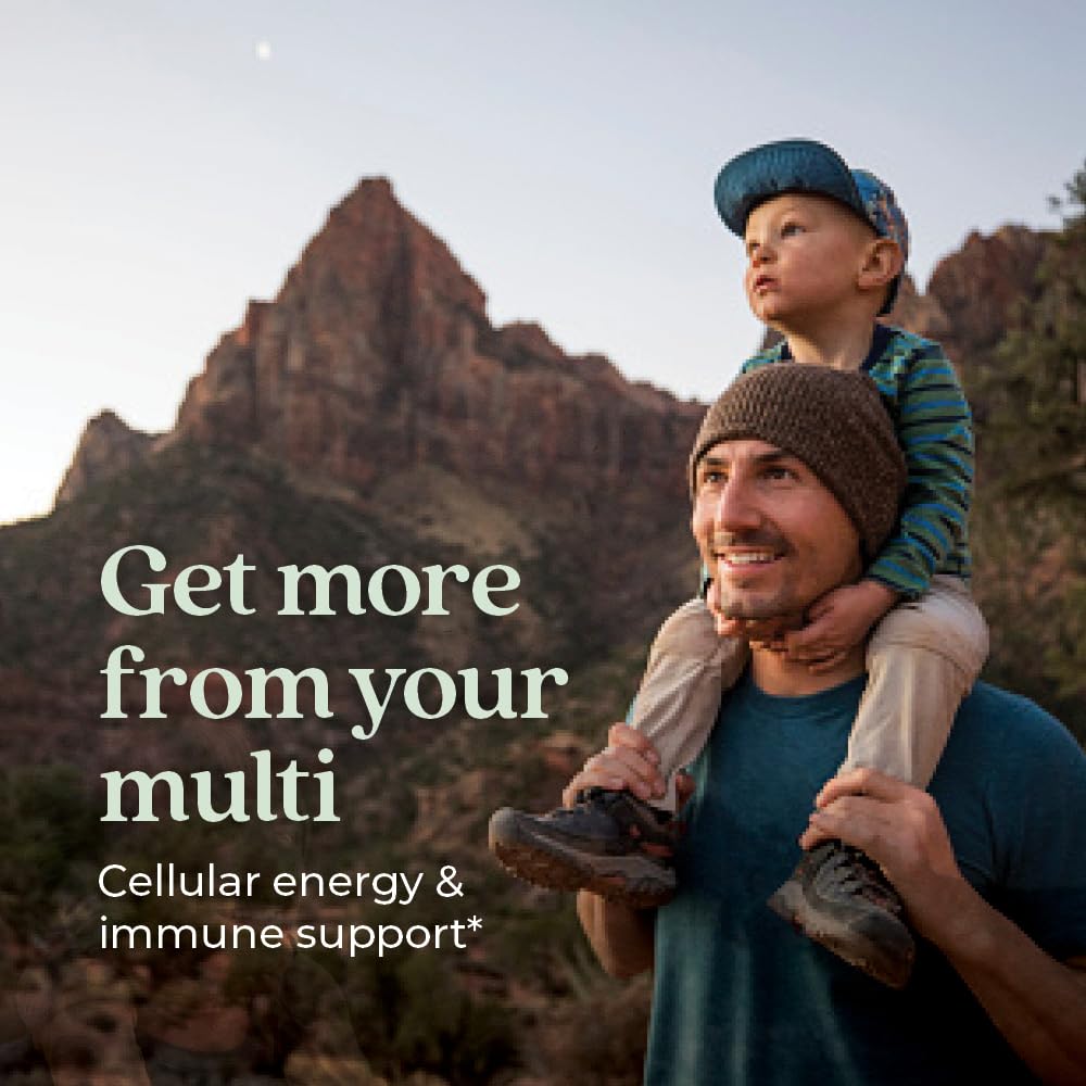 New Chapter Men’s Multivitamin Gummies, 66% Less Sugar, Men’s Gummy Vitamins with Vitamin C, D3 & Zinc, Non-GMO, Gluten Free, Berry-Citrus, 75ct