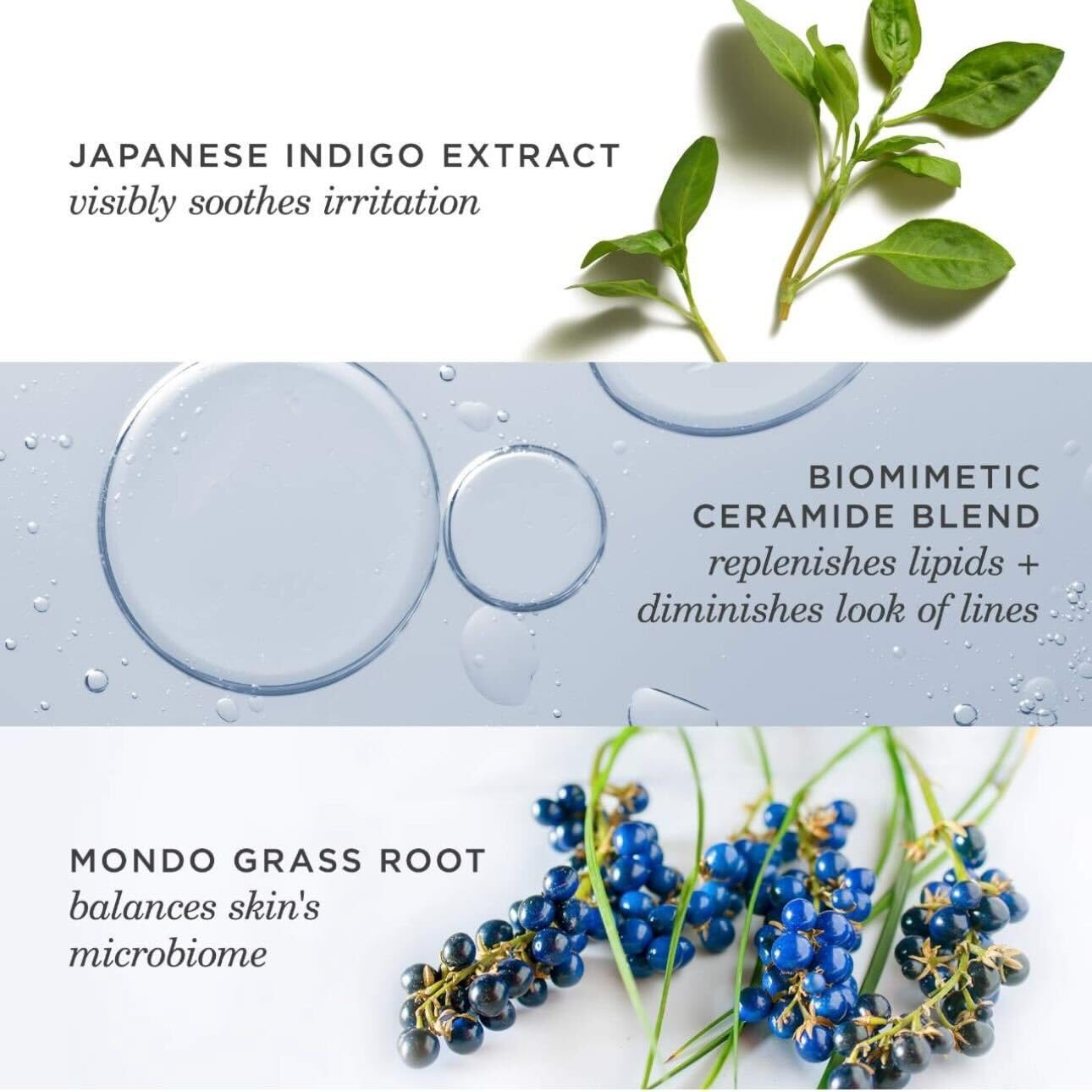 TATCHA Indigo Overnight Repair | Face Cream & Serum Treatment, Fragrance Free Night Cream, 50 ml | 1.7 oz