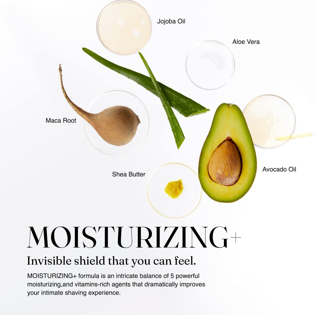 Coochy Plus Intimate Shaving Cream FRAGRANCE FREE For Pubic, Bikini Line, Armpit and more - Rash-Free, Prevents Razor Burns & Bumps, In-Grown Hairs, Itchiness 8oz Tube