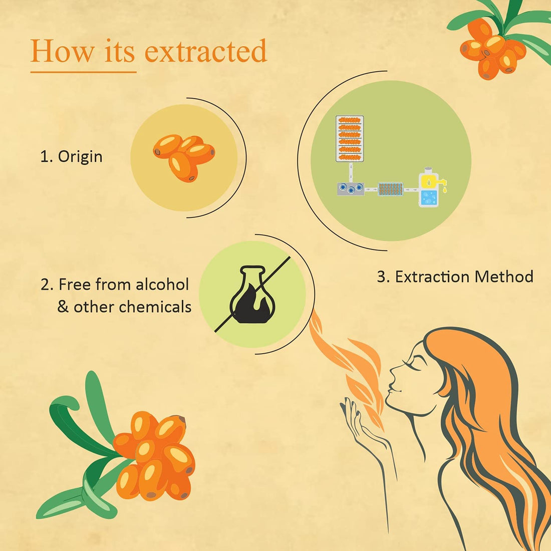 FLORONA Sea Buckthorn Berry Seed Oil 100% Pure & Natural - 1 fl oz, for Hair & Skin Care, Aromatherapy