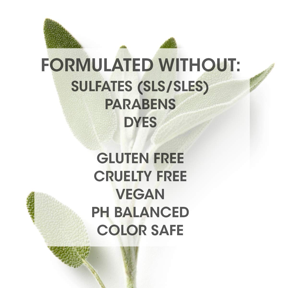 SEVEN Haircare Satara Volume Shampoo for Women & Men, Sulfate + Cruelty Free & Paraben Free with Pro Vitamin B5, Argan Oil, Hydrolyzed Quinoa Protein for Flat + Limp Hair, Made in USA, 10.8oz