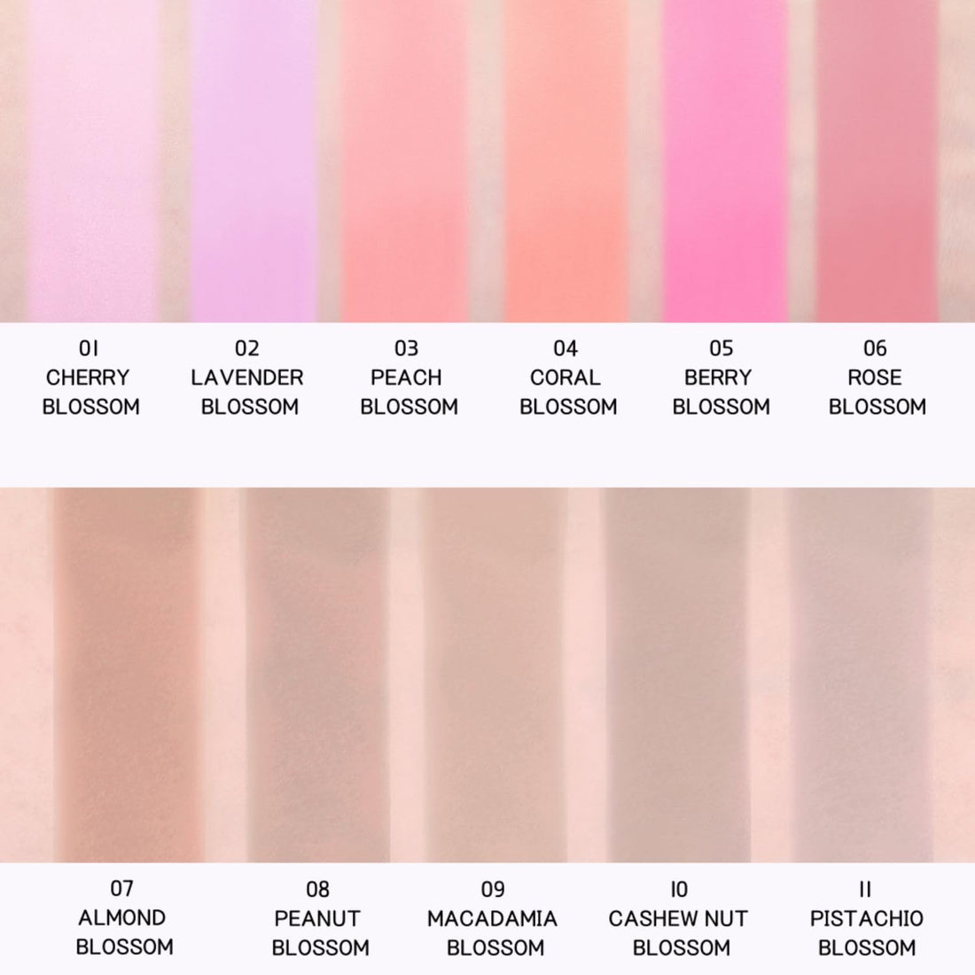 BBIA Last Blush 11 Color / 0.09oz - High Pigment Makeup Blush, Shape, Contour & Highlight Face, Long-lasting, Matte Finish (05 BERRY BLOSSOM)