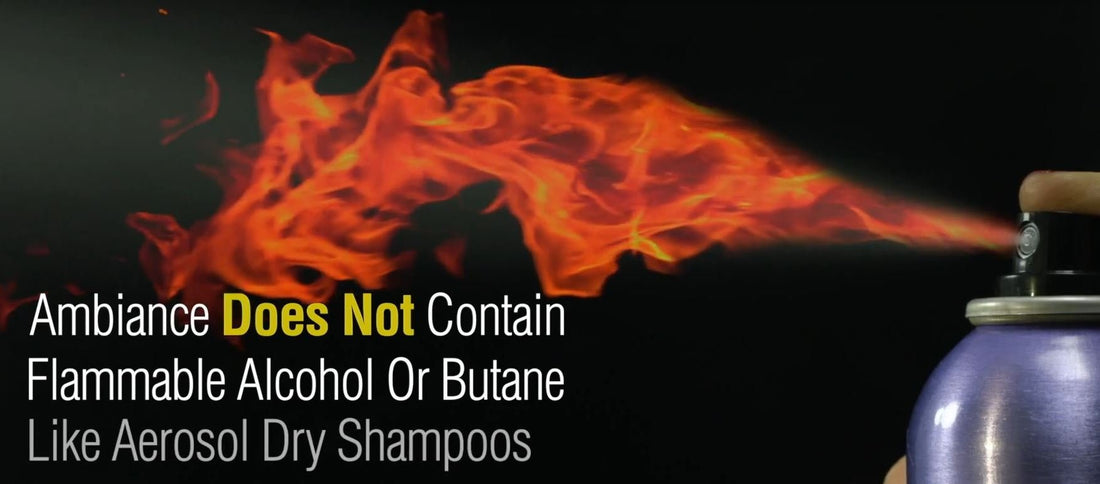 Ambiance Dry Shampoo Applicator Brush - Available in 5 Colors - No Tint