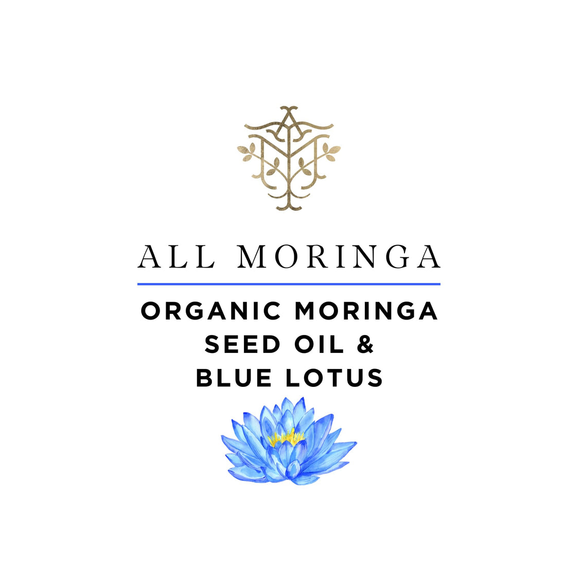 A M Organic Pure Cold-Pressed Moringa Seed Oil with Blue Lotus Absolute for Face, Body and Hair
