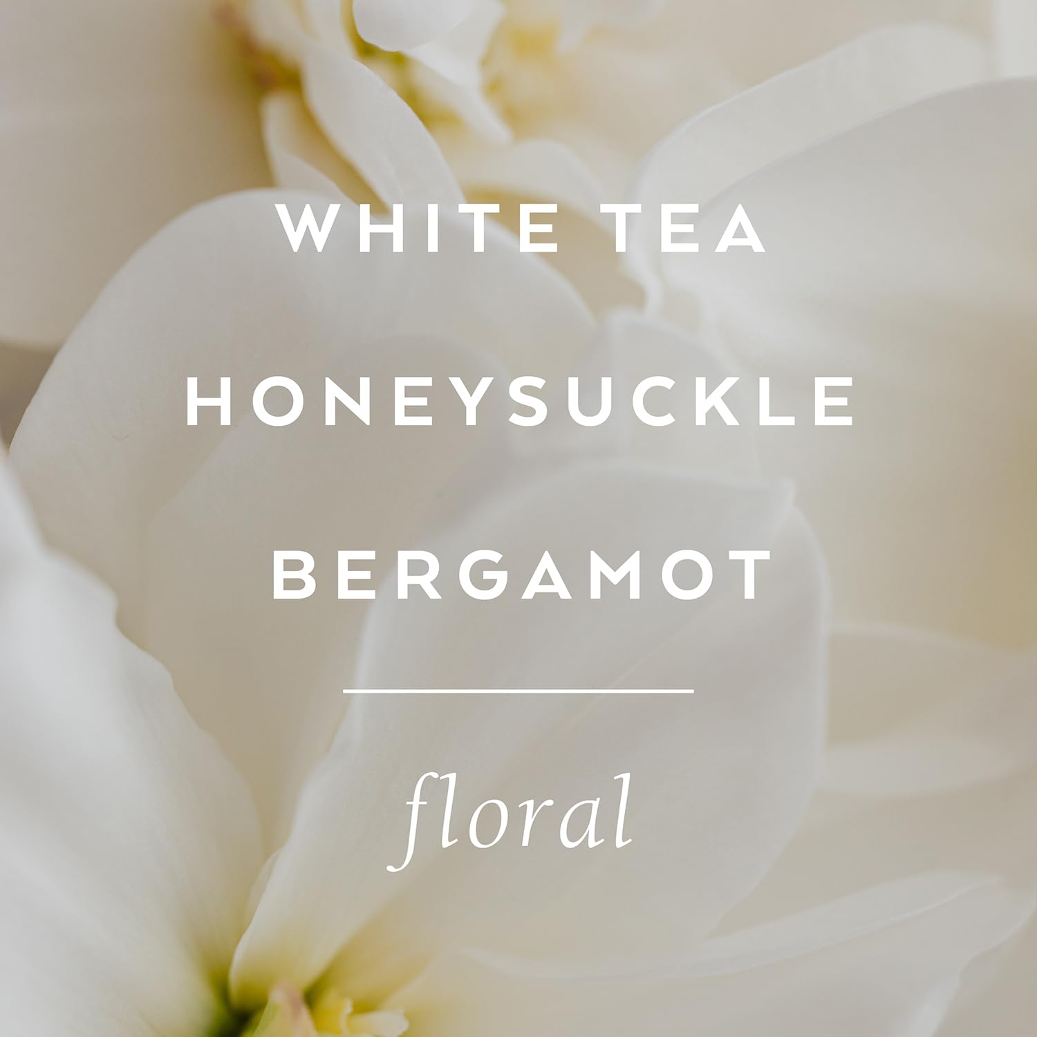 Lollia Dream Perfumed Shower Gel