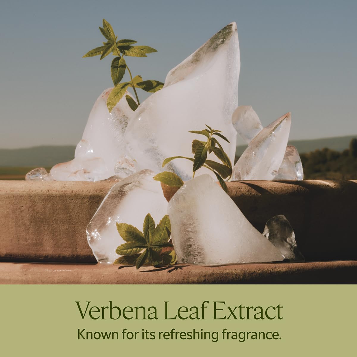 L'Occitane Dry Skin Shea Hands & Body Verbena Liquid Soap, 300ml