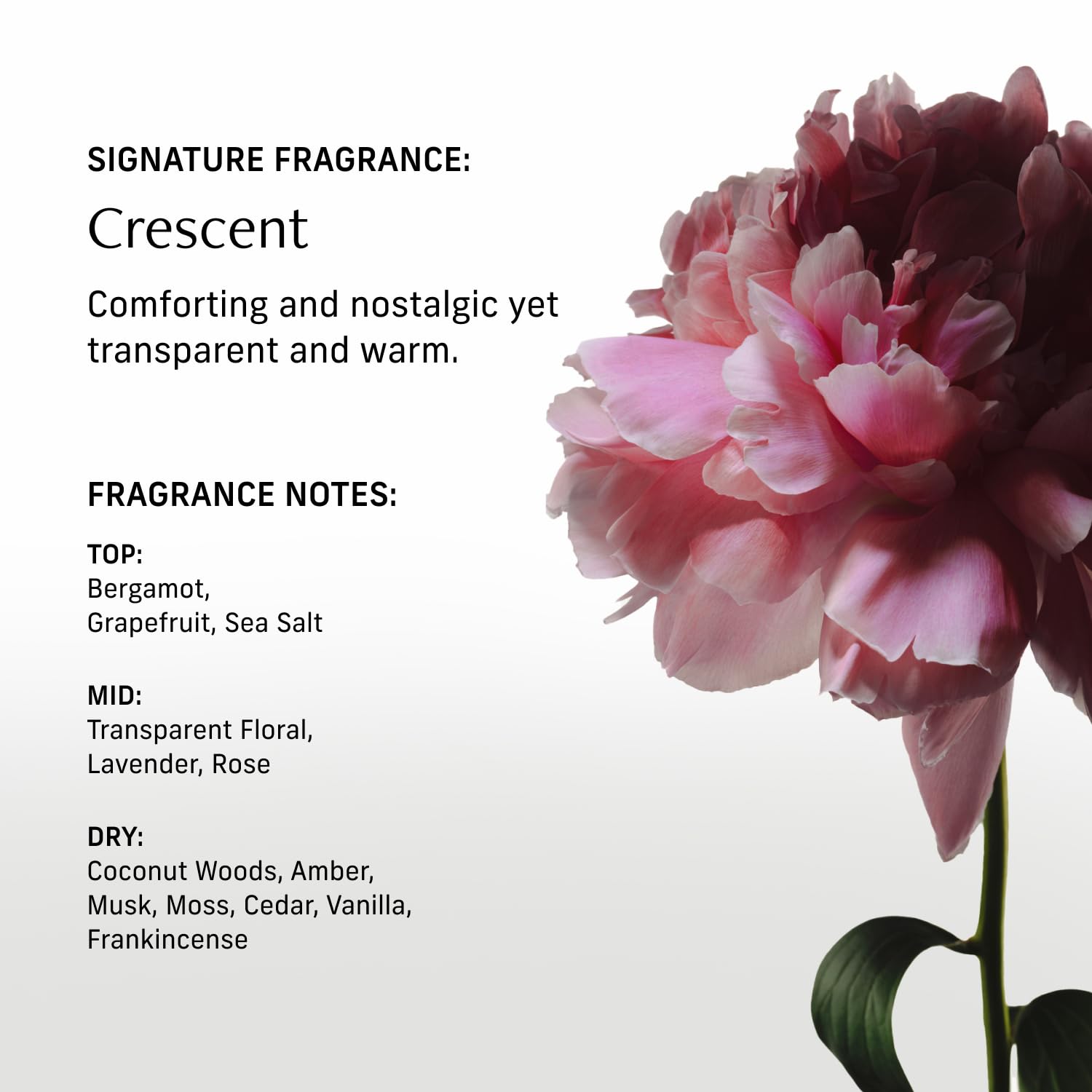 CYKLAR Nutrient Rich Body Cream. Crescent Fragrance Nourishing Moisturizer with Niacinamide and Banana Flower Extract. Deep Hydration, Thick Body Lotion, Dry Skin Cream for Women and Men, 8 Fl Oz