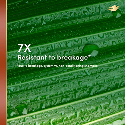 Dove RE+AL Bio-Mimetic Care Conditioner For Breakage-Prone Hair Resist Silicone-Free Conditioner With Coconut + Vegan Elastin 10oz