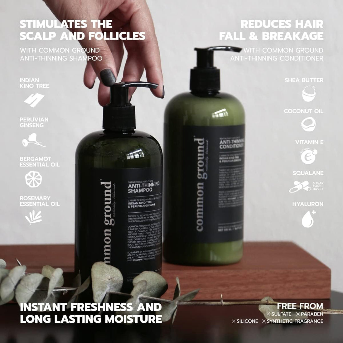 Common Ground Natural Anti Thinning Shampoo and Conditioner Set, Sulphate, Paraben & Cruelty Free, Organic, Vegan, Plant-Based, Bergamot, Rosemary Scent, Kino Tree & Ginseng DHT, All Hair, Men & Women