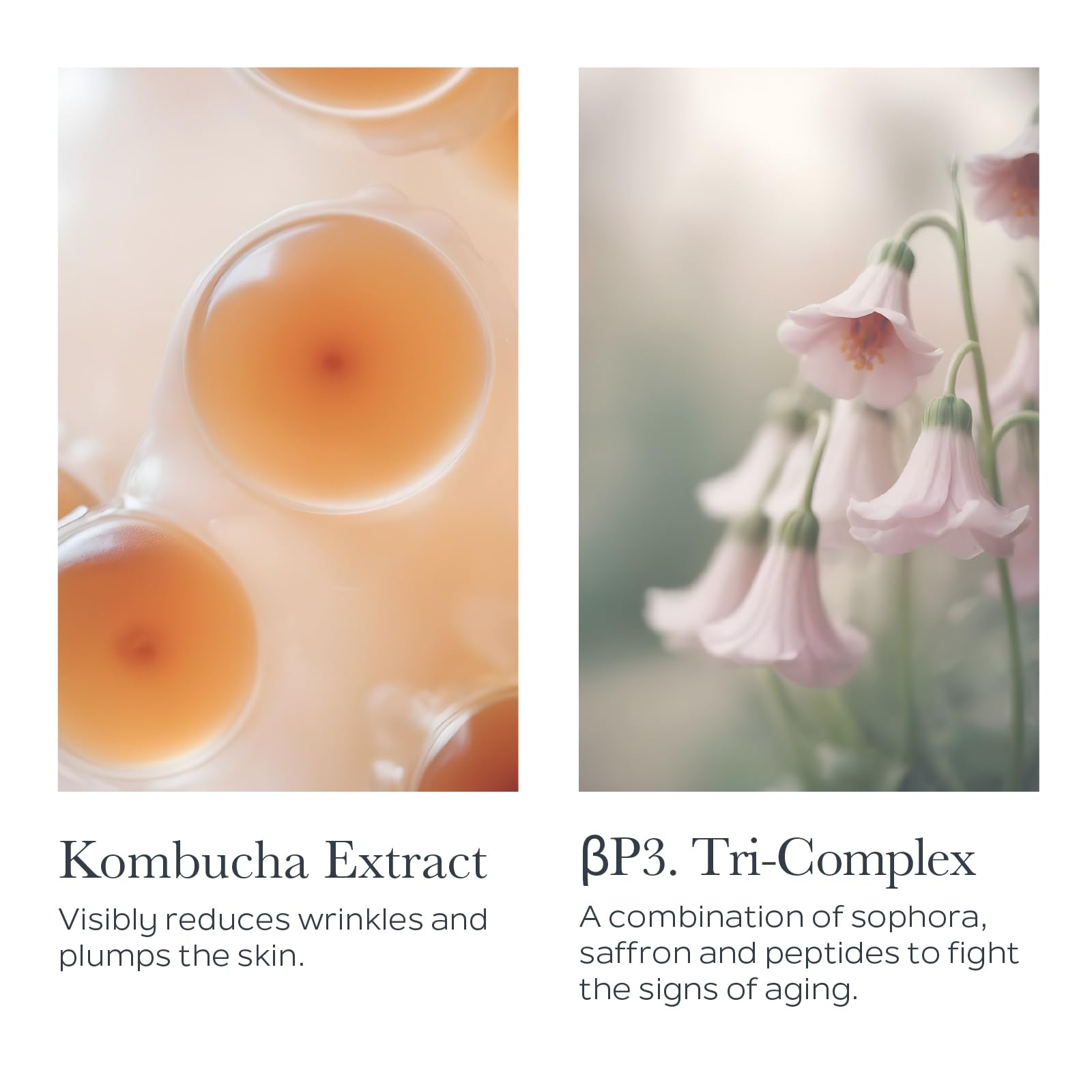 Sothys Redensifying Youth Cream, 50ml/1.69 fl oz