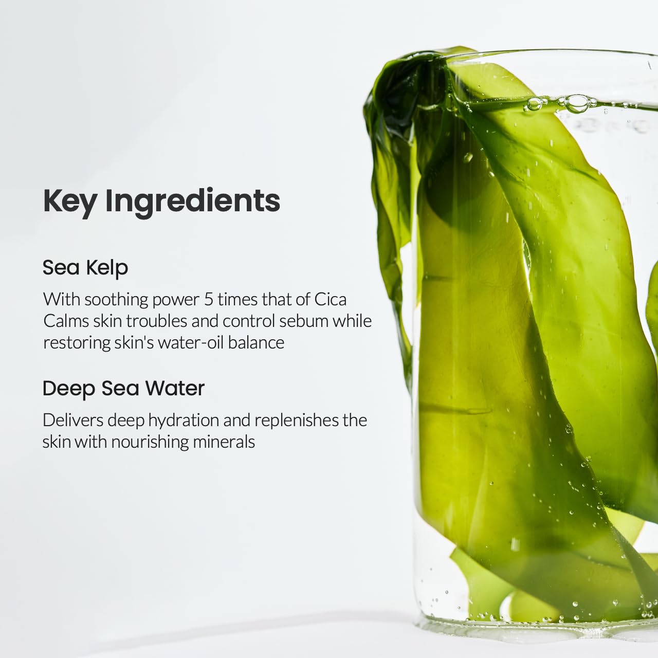 BIODANCE Refreshing Sea kelp Real Deep Mask, Overnight Hydrogel Mask, Calming, Oil & Sebum Control, Blemish Care 1.19oz(34g) x 4ea