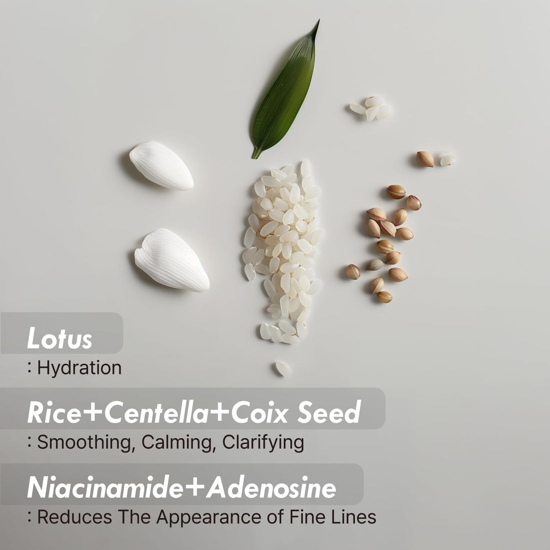 OHMIA Lotus Multi Barrier Cream - Soothing Face Moisturizer with Lotus, Rice, Centella - Calms & Hydrates Sensitive Skin - All-in-One Korean Skincare Routine 1.69fl oz