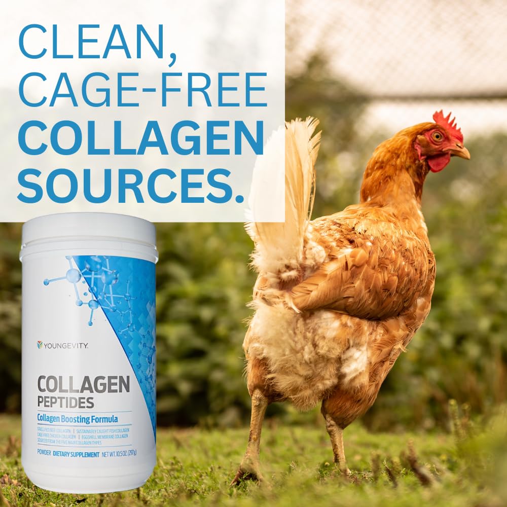 Youngevity Multi-Collagen Peptides Powder with Fulvic Powder – Hydrolyzed Grass-Fed, Marine, Chicken, & Eggshell Membrane Collagen – Hair, Skin, Nails, Joint, Bone Support – I, II, III, V, X – 11.4 oz