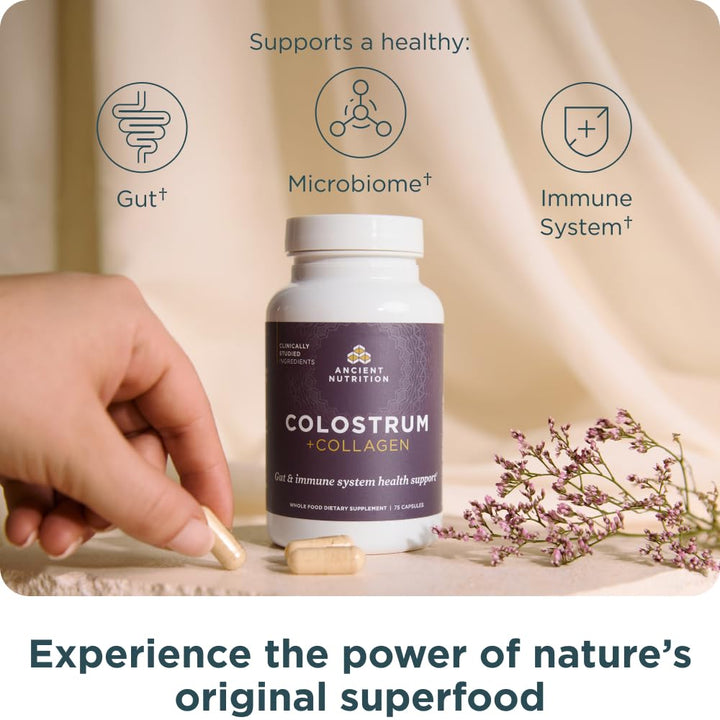 Ancient Nutrition Colostrum Superfood + Collagen, Grass Fed Bovine Colostrum, Fermented Eggshell Membrane Collagen, Supports Healthy Gut Microbiome and Immune System, 75 Count