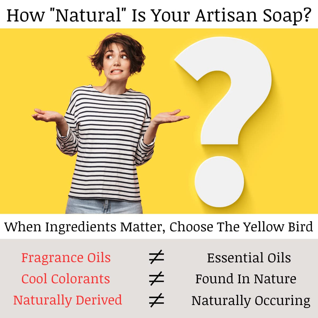 The Yellow Bird Dead Sea Mud Soap Bar - With Exfoliating Pumice Scrub & Detoxifying Charcoal. Organic & Natural Essential Oils. Made in USA for Men and Women. Face, Hand, Body Soap