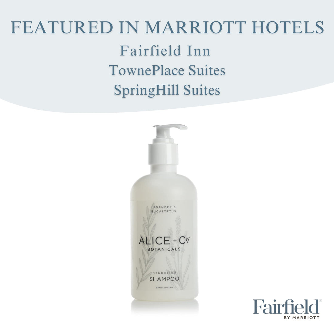 Alice + Co. Shampoo - Fairfield by Marriott - TownePlace - SpringHill - Hotel Bath Amenities - Lavender & Eucalyptus - 8.5oz Shampoo