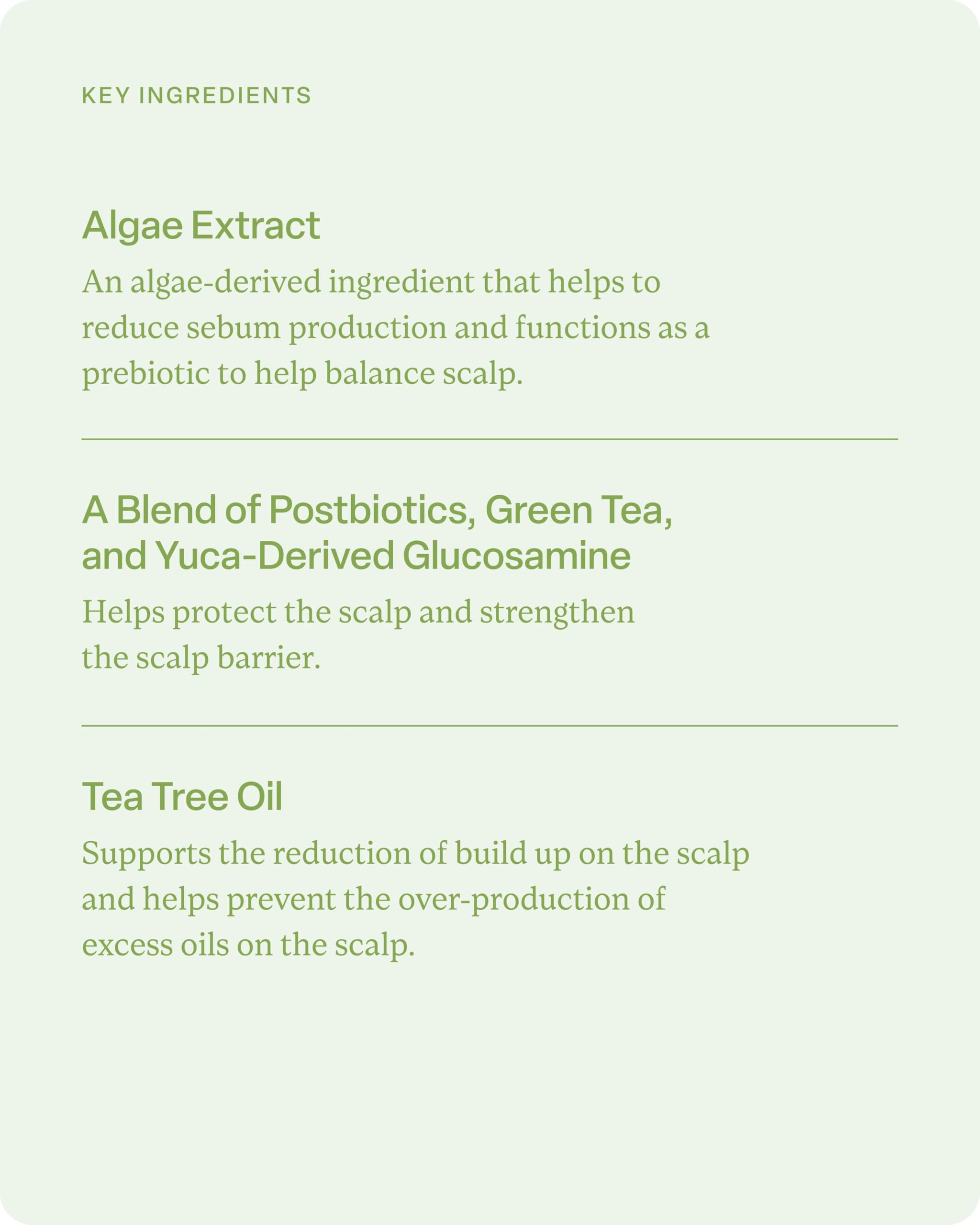 divi Hydrating Shampoo for Women and Men - Gently Cleanses and Removes Scalp Buildup - Hydrates, Strengthens, and Nourishes Hair - Vegan, Cruelty-Free, Paraben-Free - Travel Size, 2 Fl Oz