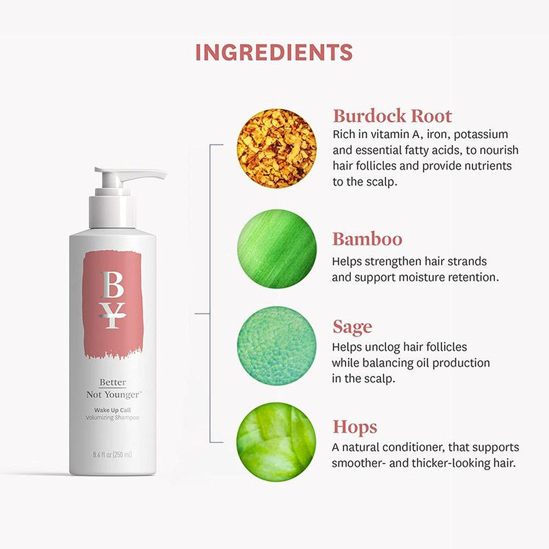 Better Not Younger Discovery Kit - Strength & Volume, Includes Hair Redemption Restorative Butter Masque, Wake Up Call Volumizing Shampoo and Conditioner 2 Fl Oz each