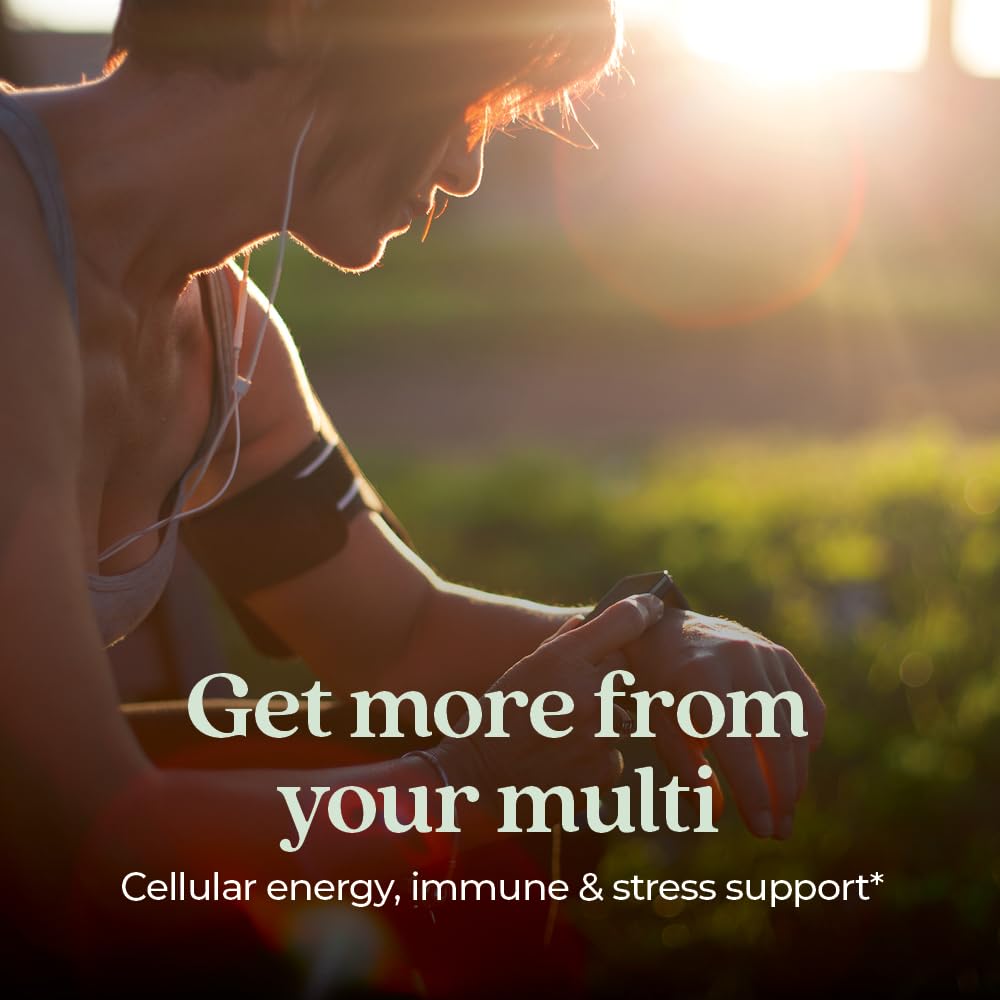 New Chapter One Daily Multivitamin for Immune, Energy & Stress Support, 20+ Nutrients Fermented with Probiotics & Whole Foods, Made with Organic Vegetables - 72 ct