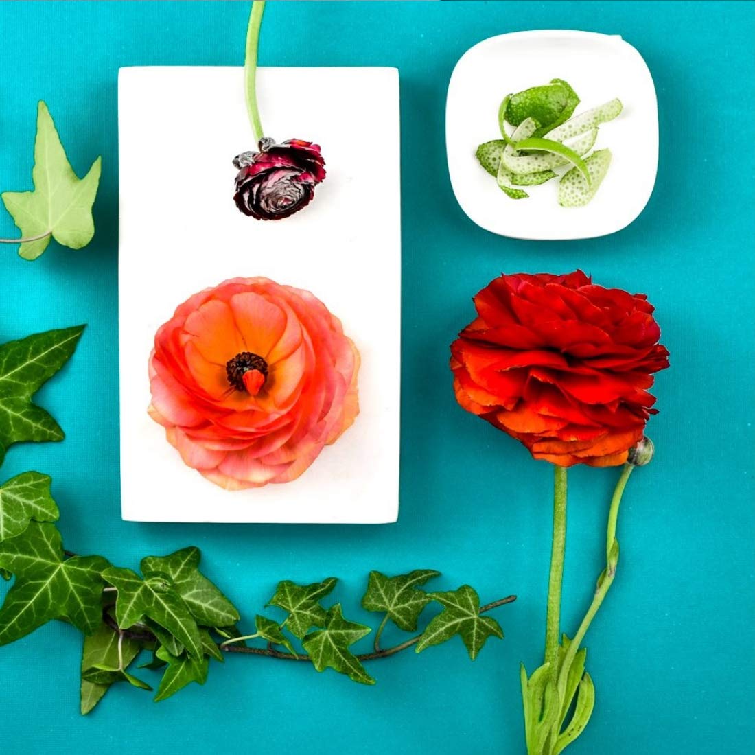 Skin An Apothecary Soy Body Whip, 16 Oz, Poppy