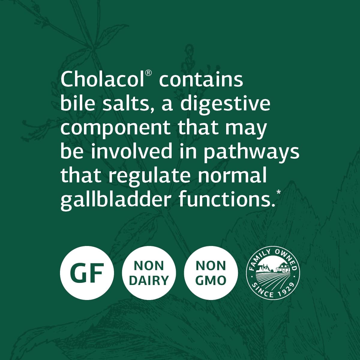 Standard Process Inc. Cholacol - Gallbladder Support Supplement - Fat Digestion Supplement for Digestive Health & Bile Support - Gluten-Free, Non-Dairy & Non-Soy - 90 Tablets