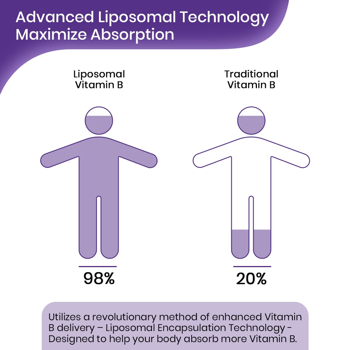 Liposomal Vitamin B Complex Liquid Sublingual B Complex Vitamins Supplement for Women Men Improved Absorption Methylated B12,B1, B2, B3, B5, B6,Folate,Biotin for Energy And Immune Support-2.0 oz