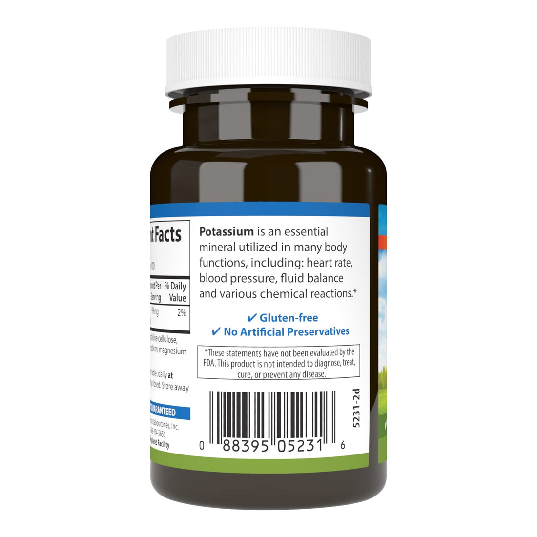 Carlson - Potassium, 99 mg, Promotes Nerve Health & Muscle Function, 100 Tablets
