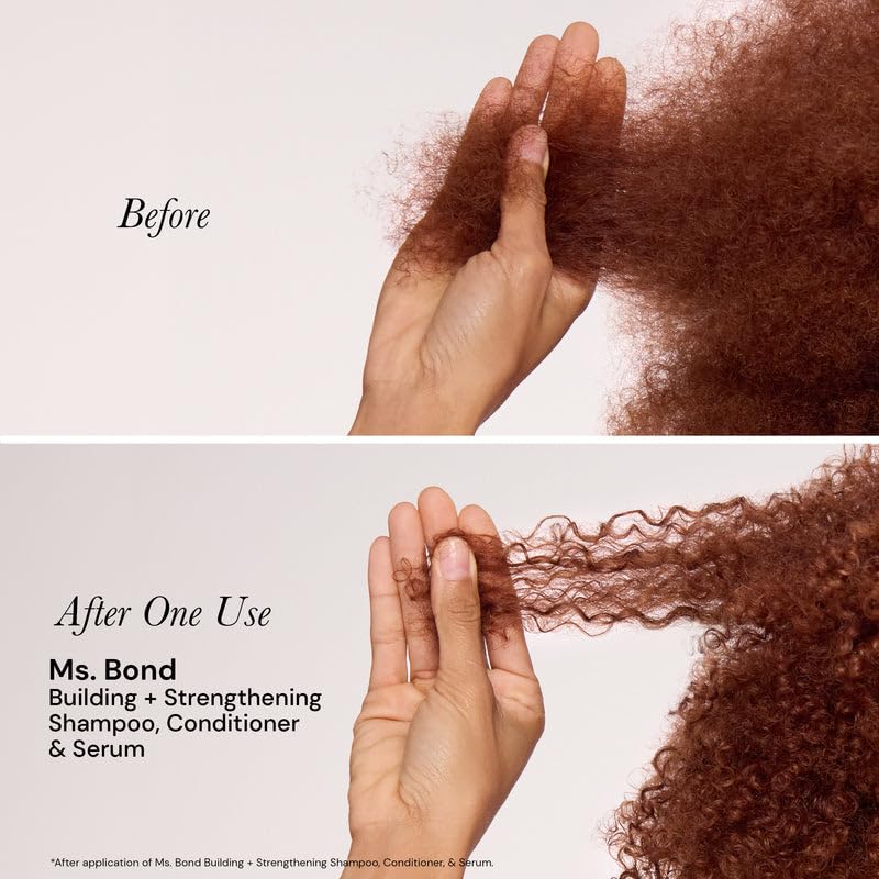 L'ANGE HAIR Ms. Bond Building + Strengthening Conditioner| Restores Hair Bonds | Intensive Treatment for Breakage Recovery | Hair Mask for Smooth Finish | Moisturizing Formula | 8 fl oz Bottle