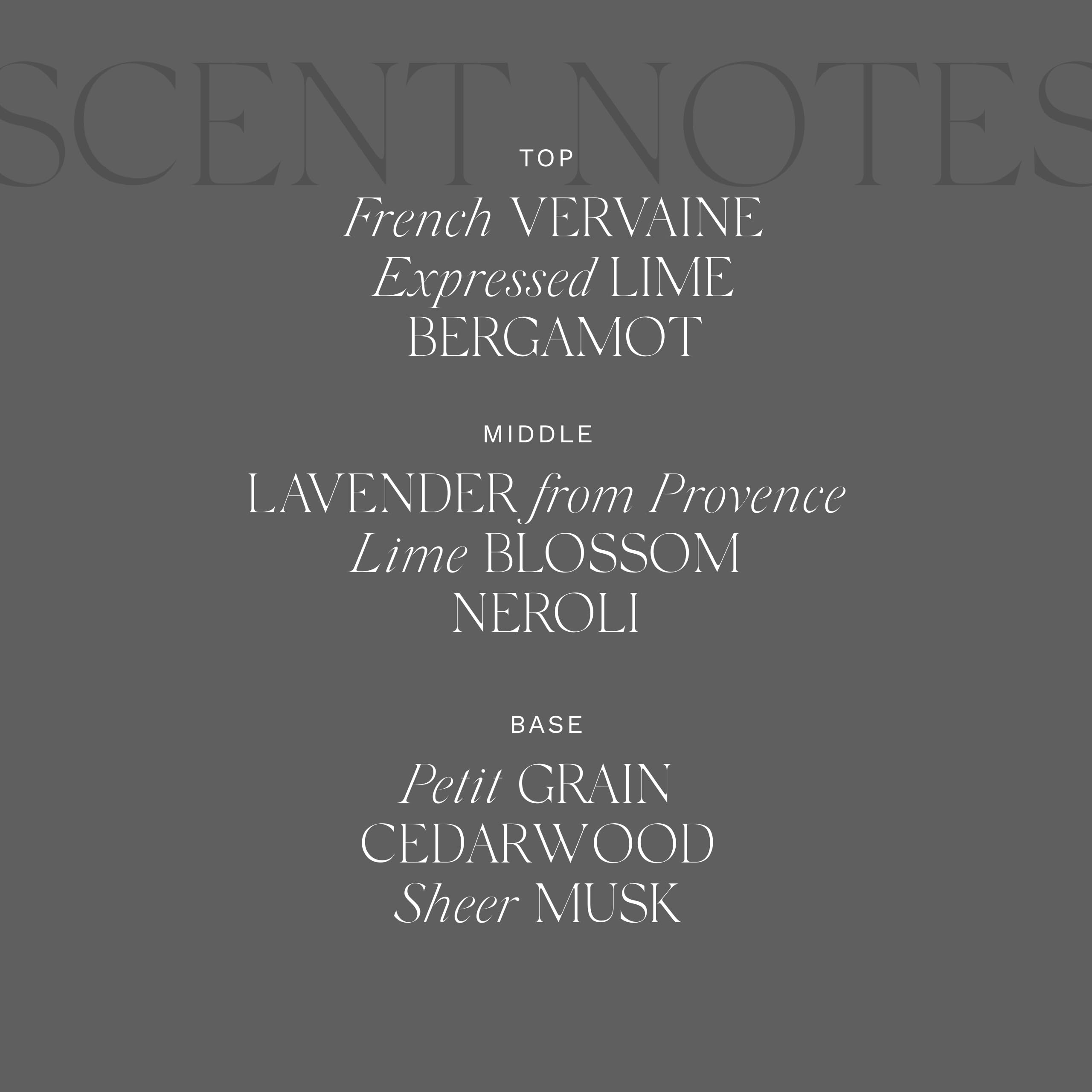 Antica Farmacista Hand Wash, Lavender & Lime Blossom, 10 Fl Oz