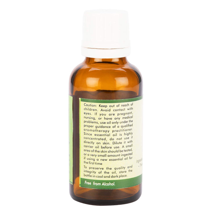 Vanilla Essential Oil | Vanilla Planifolia | for Fragrance | for Scent | for Body | for Massage | for Hair | for Skin | 100% Pure Natural | 30ml | 1.01oz by R V Essential