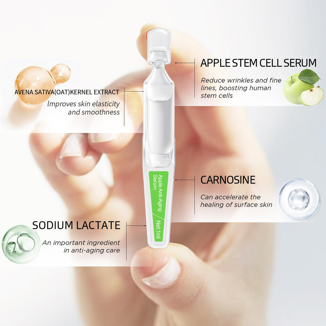 Hydrating & Anti-Aging Ampoules Serum - Apple Stem Cell & Tremella Mushroom Extract and Collagen - Deep Hydration, Anti-Wrinkle, Skin Firming & Revitalizing, For All Skin Types, 30 Pcs/Box