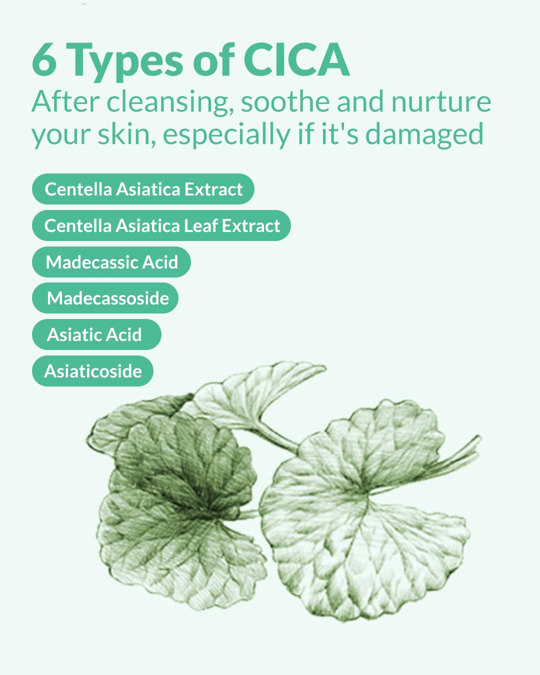 HERBNOTE AHA BHA PHA Purifying Refresh Toner - Skin Trouble Eraser, Immediate Exfoliation & Sebum Removal - Contains Niacinamide for Breakouts - Removes Blocked Sebum & Dead Skin Cells, 6.76 f l. oz