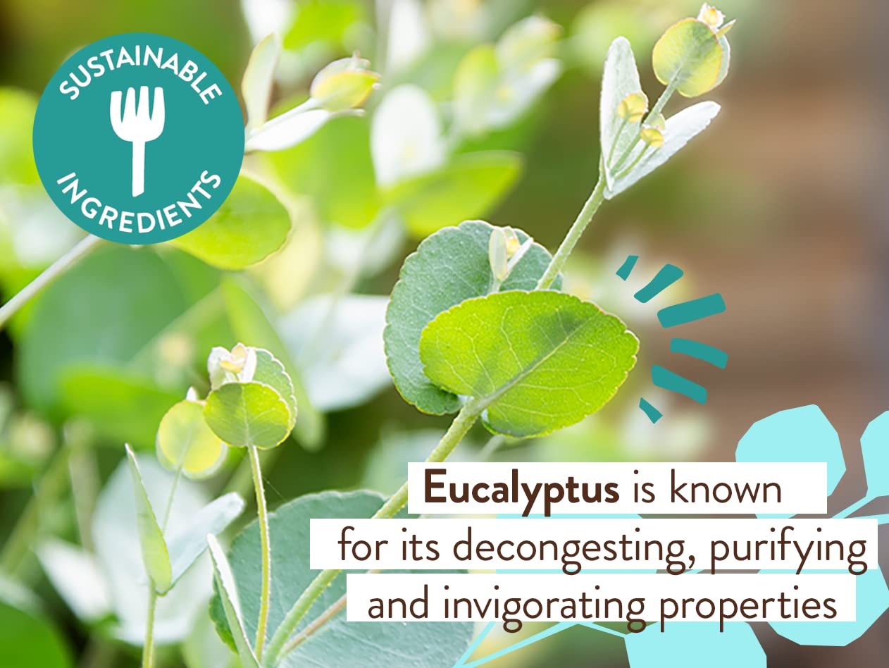 Babo Botanicals Eucalyptus Remedy Shampoo & Wash - Invigorating Eucalyptus & Rosemary Essential Oils -For all Ages - EWG Verified - Vegan - Cruelty Free