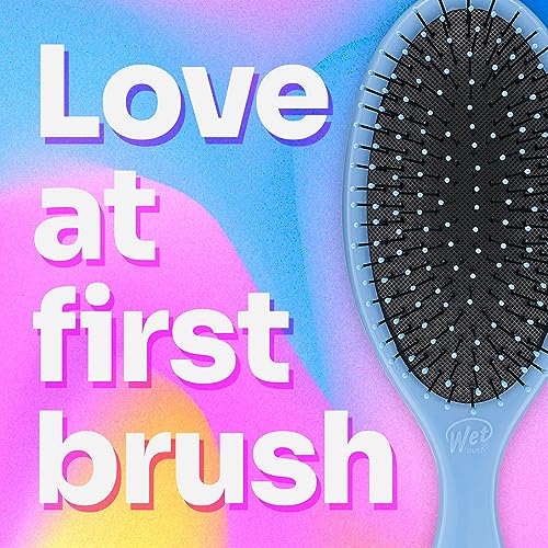 Wet Brush Detangling Brush, Original Detangler Brush (Sky) - Wet & Dry Tangle-Free Hair Brush for Women & Men - No Tangle Soft & Flexible Bristles for Straight, Curly, & Thick Hair