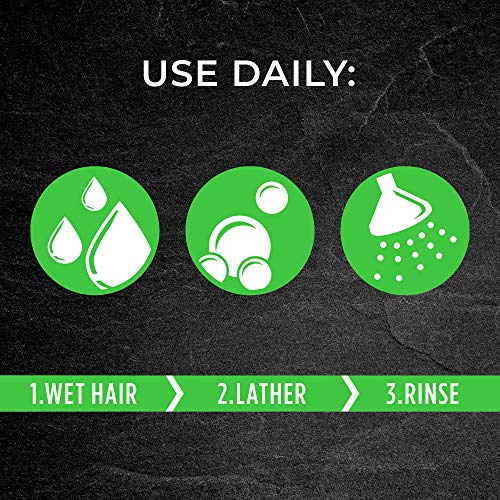 PERT 2 IN 1 Shampoo and Conditioner, Anti-Dandruff, 13.5 Fl. Oz (Pack of 6)