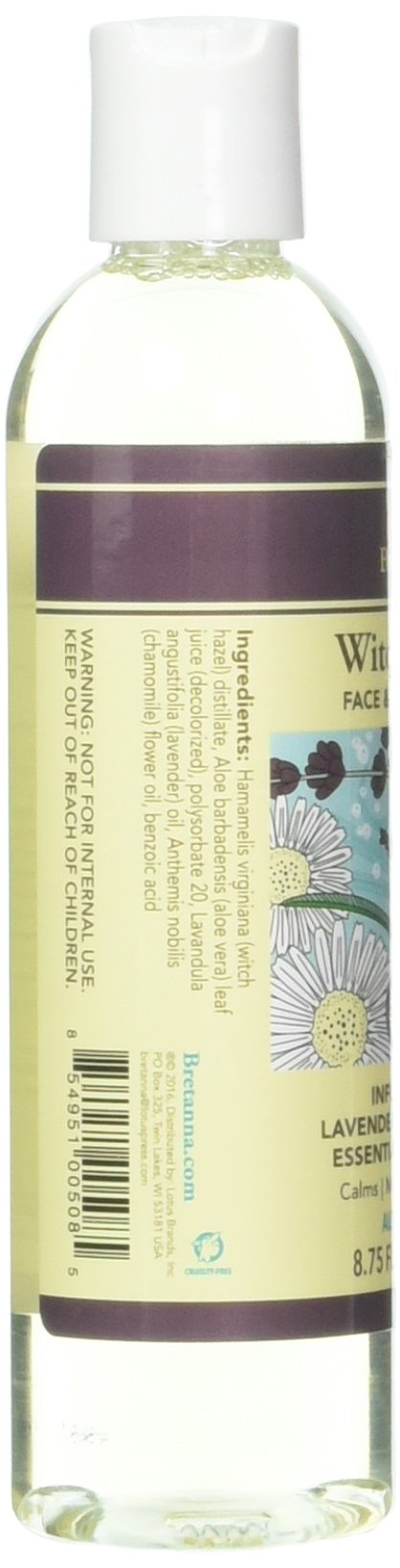 Witch Hazel Face & Body Toner Infused with Lavender Chamomile 8 Ounces by Bretanna