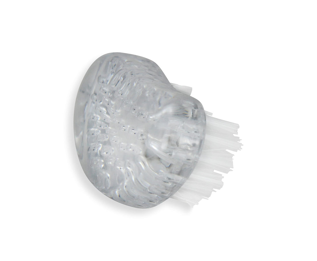 Amazon Basics Manicure Brush, 10 Count, Clear, White