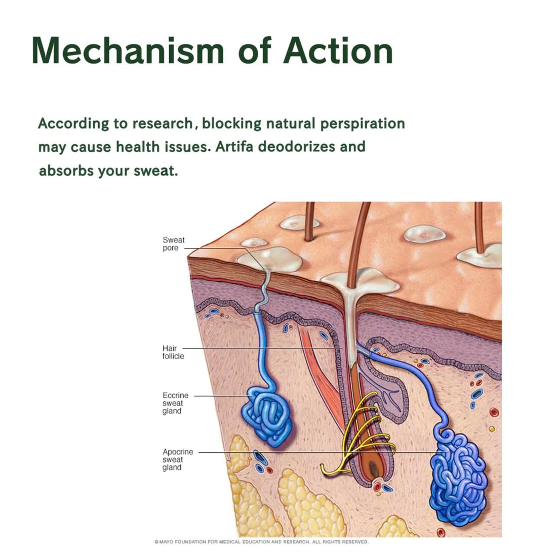 Artifa Natural Deodorant, Aluminum Free for Women and Men with Probiotics, Coconut oil, Shea Butter 2.65 oz (75 g)