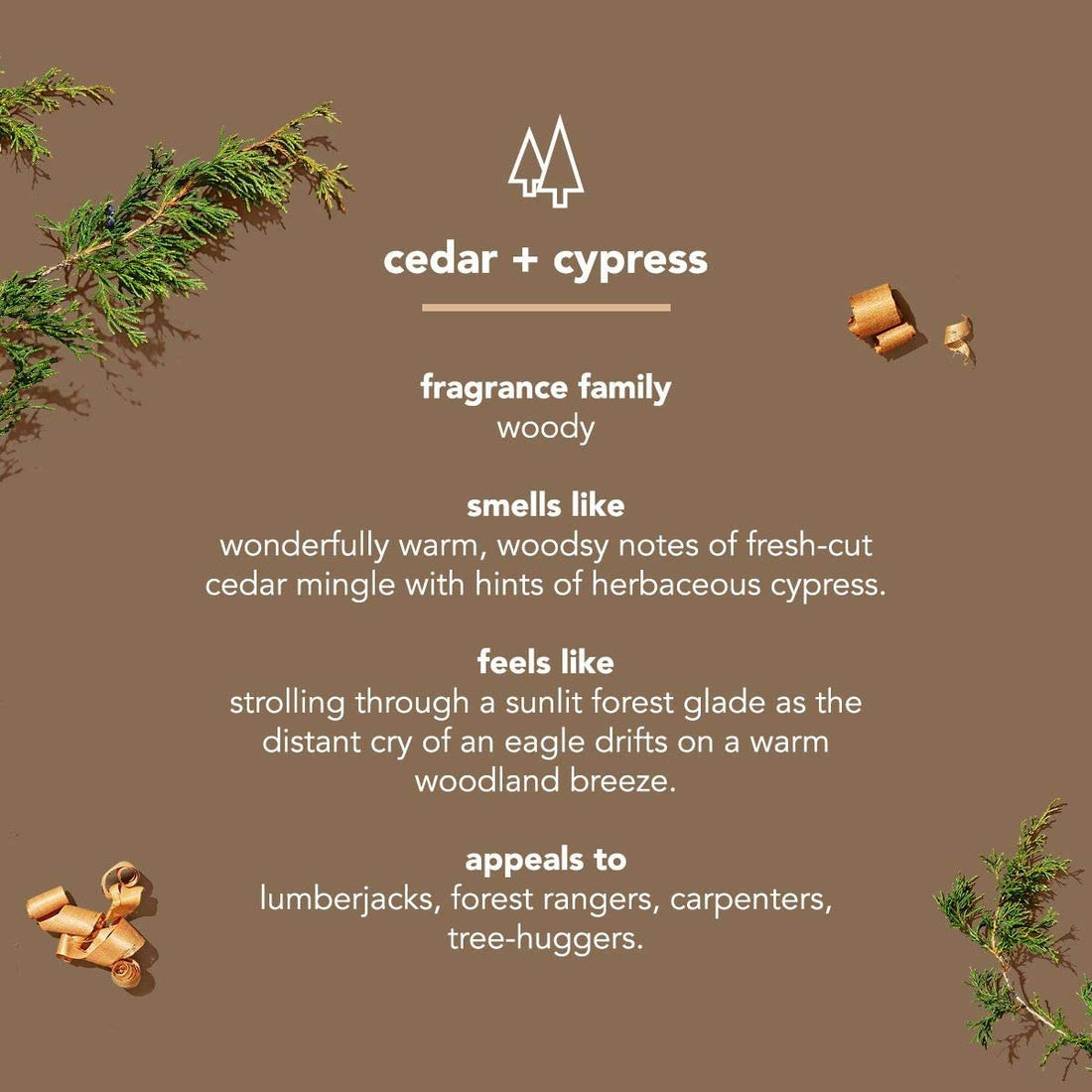 Cedar + Cypress: Method Mens Body Wash, Cedar + Cypress, 6 Count