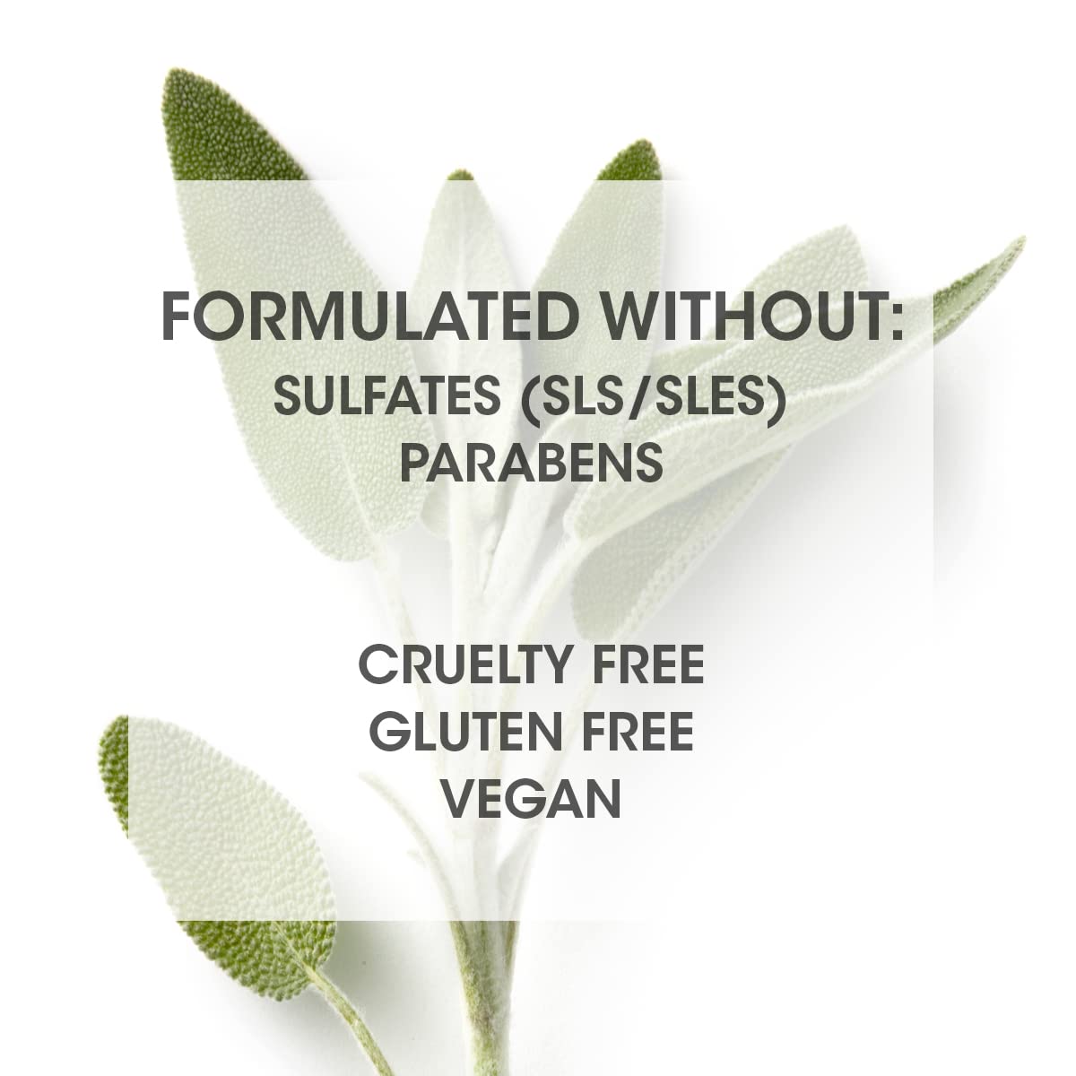 SEVEN Hair Care Gazar Hydrate Conditioner for Women & Men, Anti-Frizz, Moisturize Dry Hair, Sulfate + Paraben Free, Cruelty Free with Argan Oil, Jojoba & Biotin, Made in USA, 10.7oz