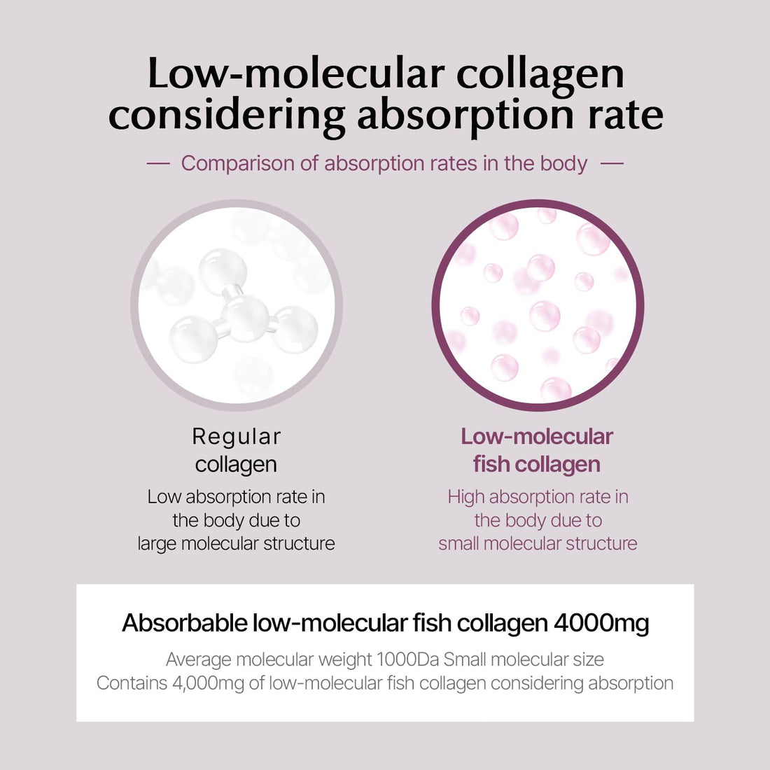 107 ARONIA Vinegar Low Molecular Collagen Jelly Stick l Vitamin, Collagen, Hyaluronic Acids, Elastin, Probiotic l Korean Beauty Collagen l Inner Beauty Collagen Sticks (20g x 14 Pouches)