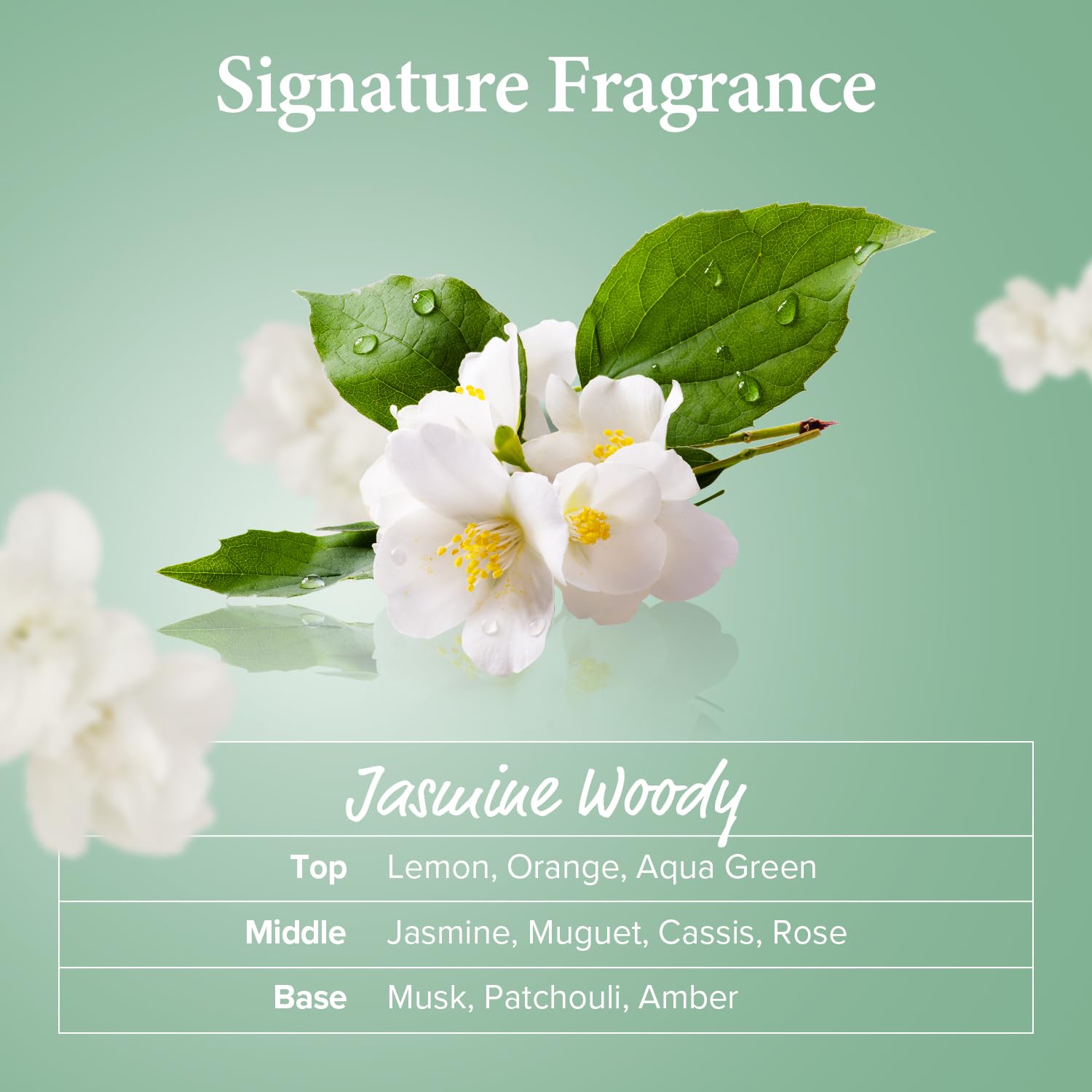 KUNDAL Tea Tree & Macadamia Deep Cleansing Shampoo [Jasmine Woody] - Korean Hair Care, Scalp Care, Tea Tree extract, For All hair Types 10.14fl oz (pack of 1)