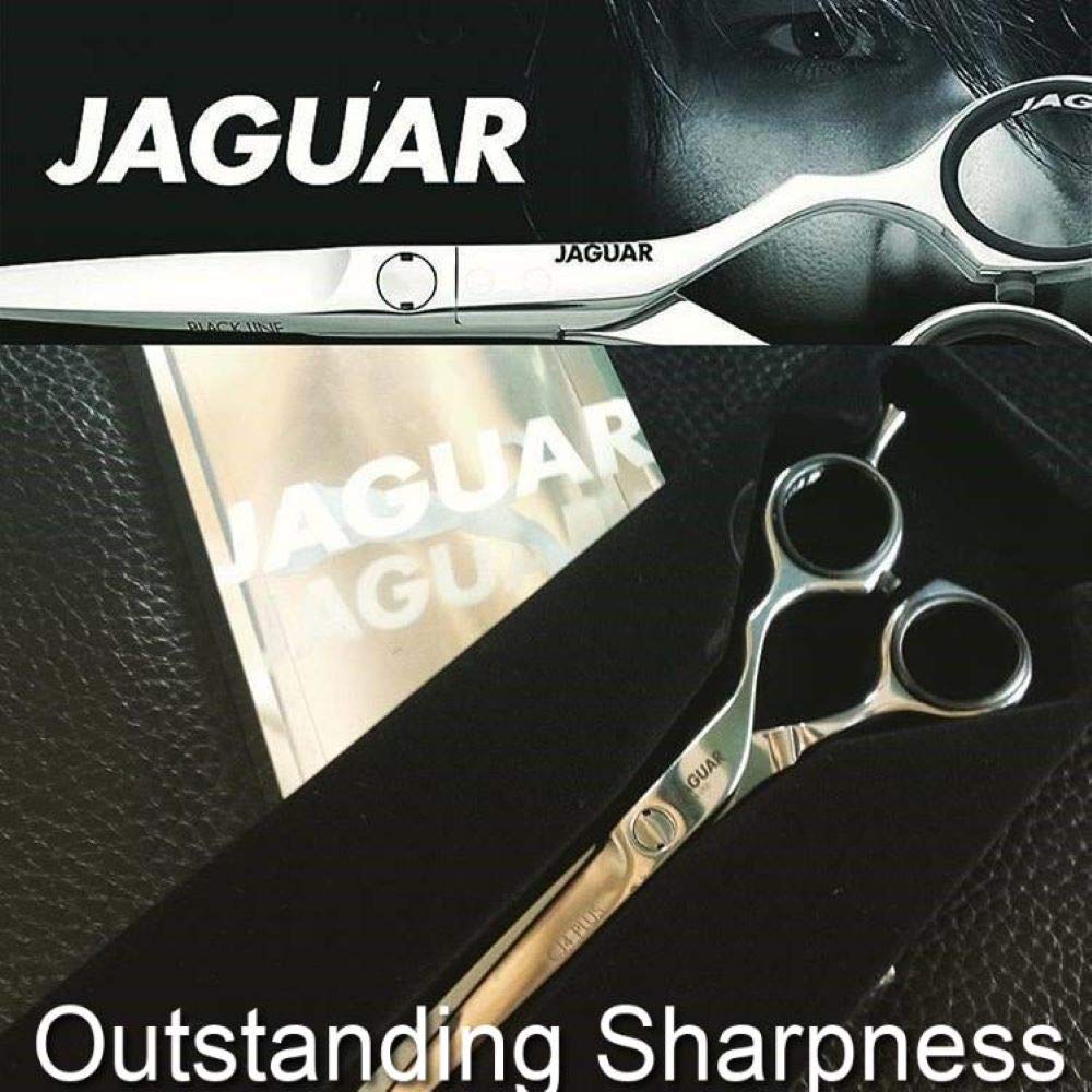 Jaguar CJ4 Plus Scissors, Silver Line, 5.5 Inch, 3.7 Ounce