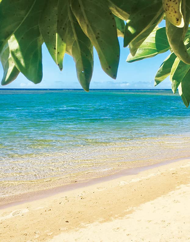 Island Soap & Candle Works Lotion, Mango Coconut Guava, 8.5 Ounce