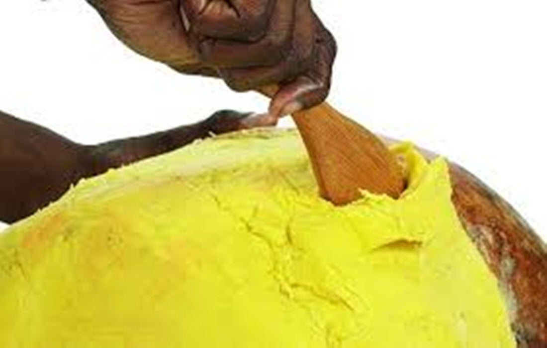 Raw Unrefined African Shea Butter Selections (8 Oz, 16 Oz, 32 Oz)- Grade AAA Premium Shea Butter From Ghana - Use on Acne, Eczema, Stretch Marks (16 OZ GOLD)