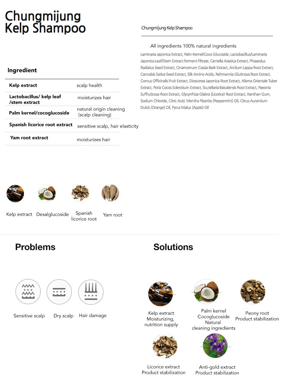 [ChungMiJung] Kelp Small Scalp Shampoo Dandruff Shampoo 500ml-organic 18 Ingredients from Nature for Sensitive Skin Korean Skincare,16.91 Fl oz (Pack of 1)