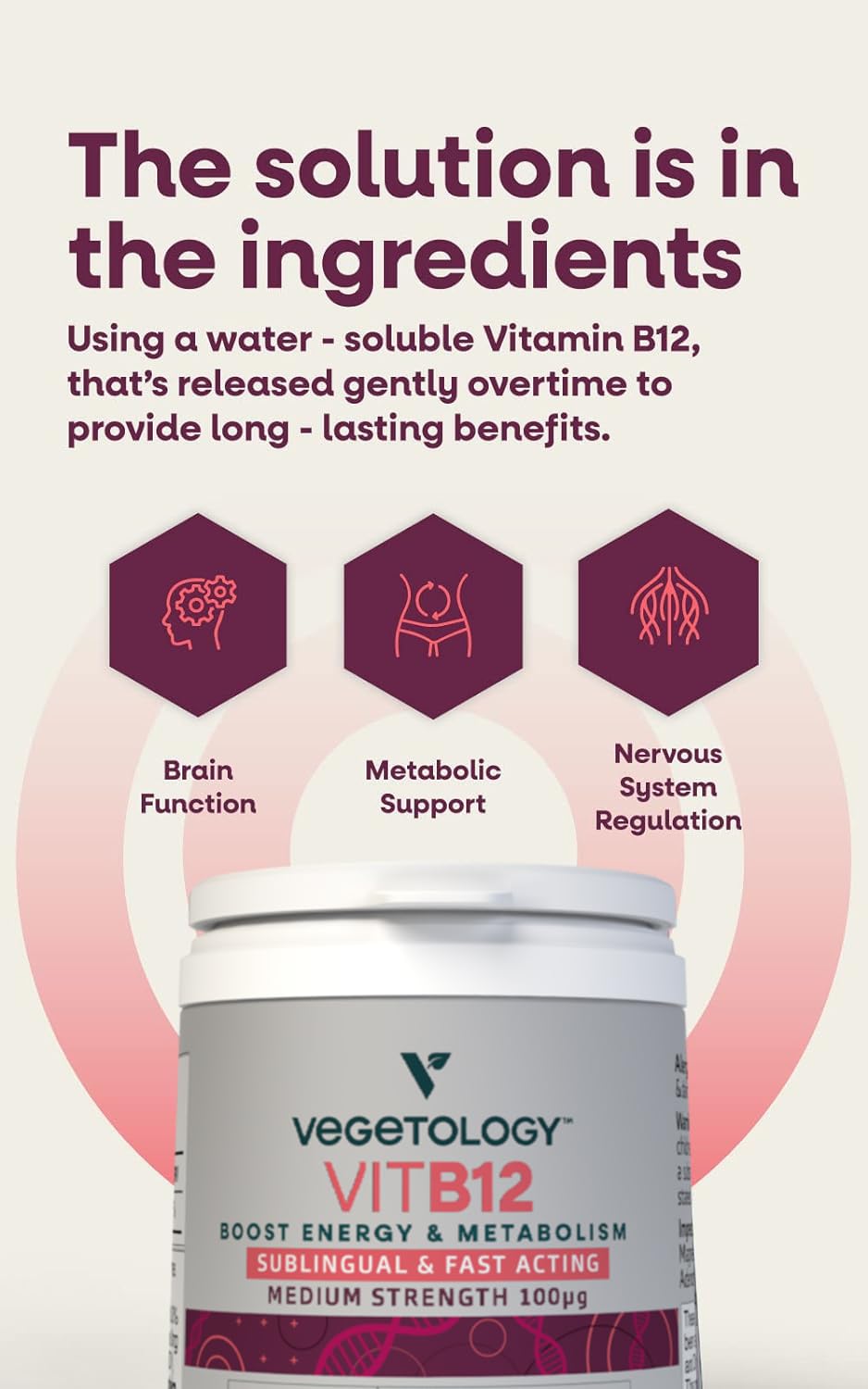 VEGETOLOGY Vegan Vitamin B12 Sublingual Energy Supplements — Metabolism Vitamins & Health Supplements — Daily Supplements (60 Vitamin Tablets)