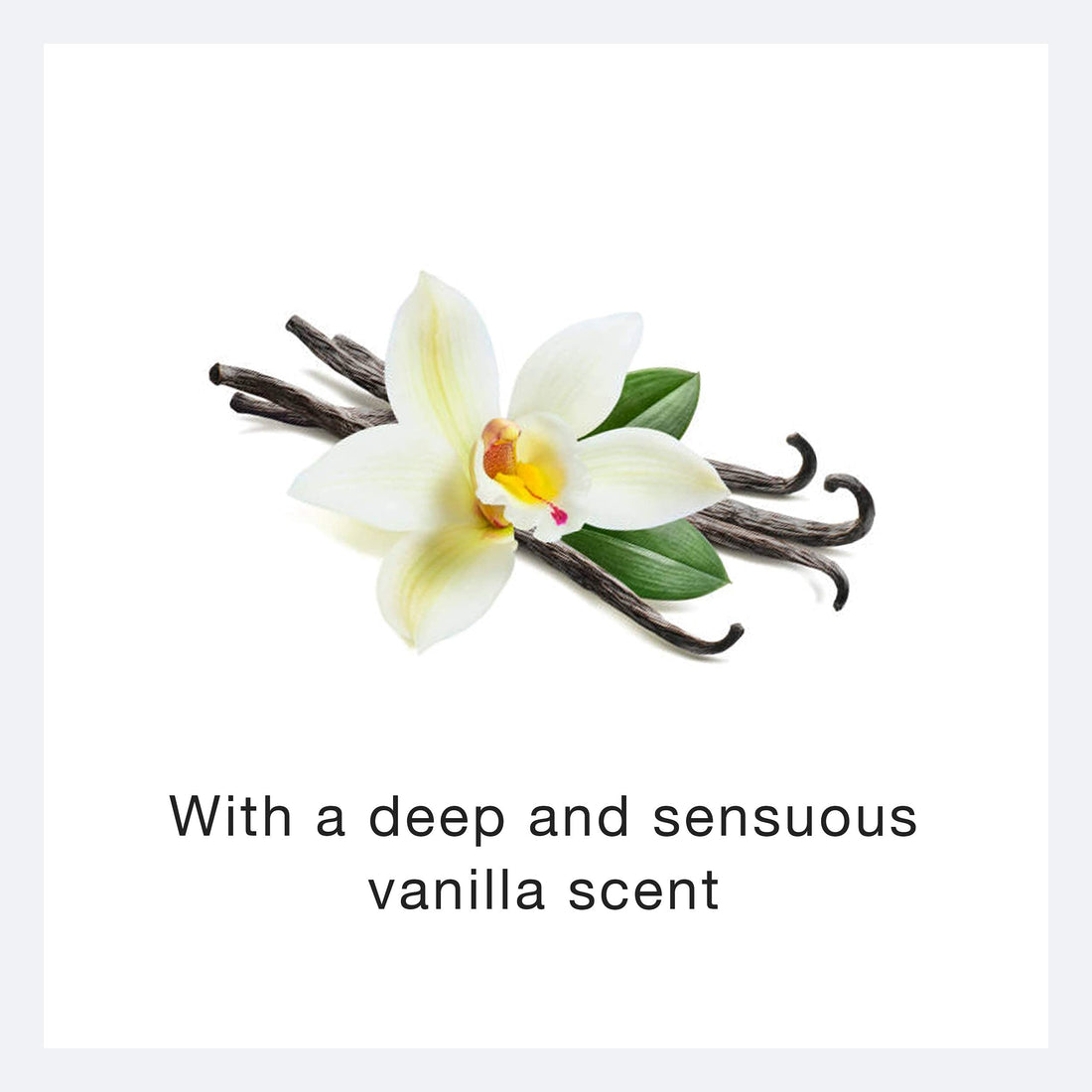 Ecco Bella Original Organic Water-Free Herbal Body Lotion, Vanilla, 8-Ounce Bottle