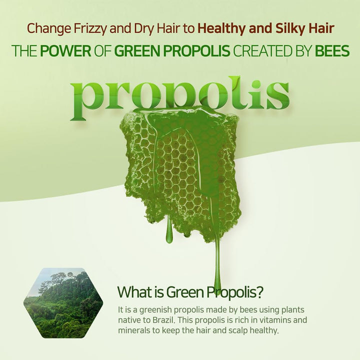 Kerasys Propolis Royal Jelly Extract Green Tea Olive Oil Shiny and Healthy Hair Propolis Green Moisture 33.8 fl oz / 1L (Shampoo, 1-Pack)